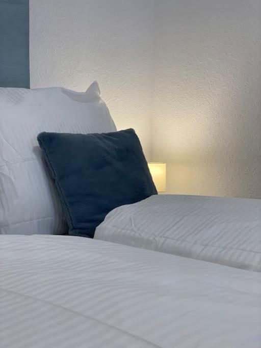 Lux Apartment Near Frankfurt! Mörfelden-Walldorf Exteriör bild