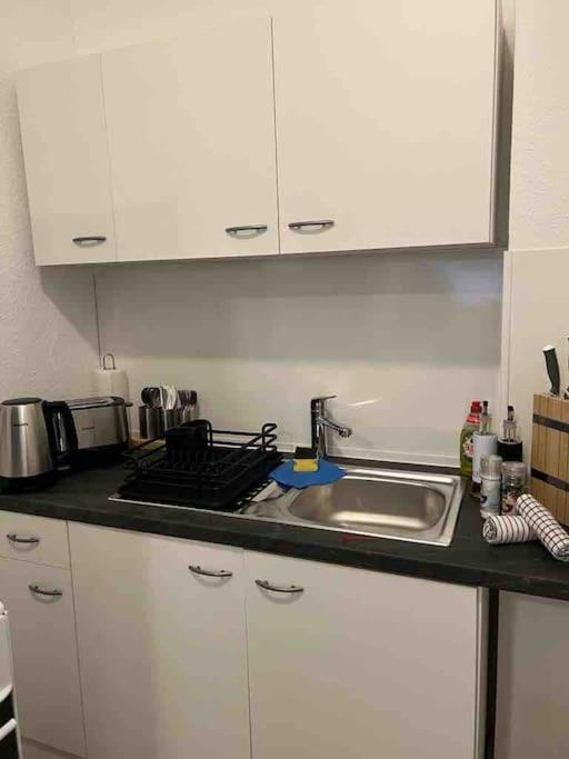 Lux Apartment Near Frankfurt! Mörfelden-Walldorf Exteriör bild